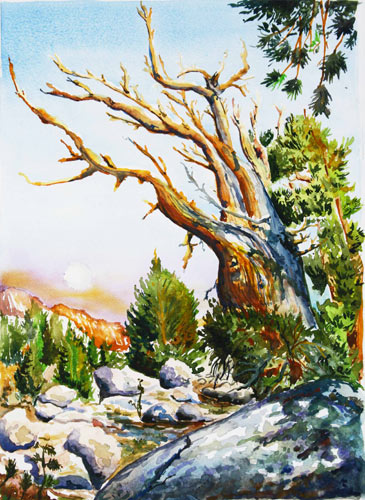 artist Russell Hunziker