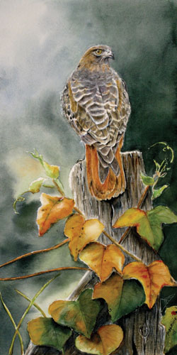 artist Patricia Pushaw