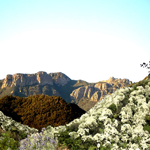 artist Alessandra DeClario