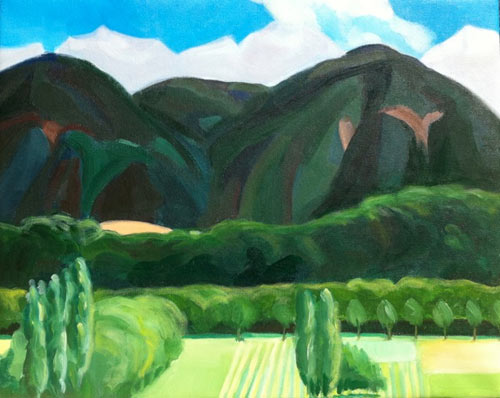 artist flo baumgartner