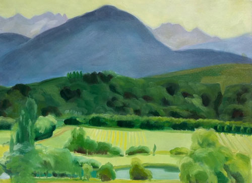 artist flo baumgartner