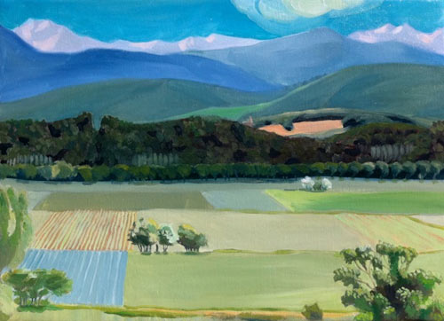 artist flo baumgartner